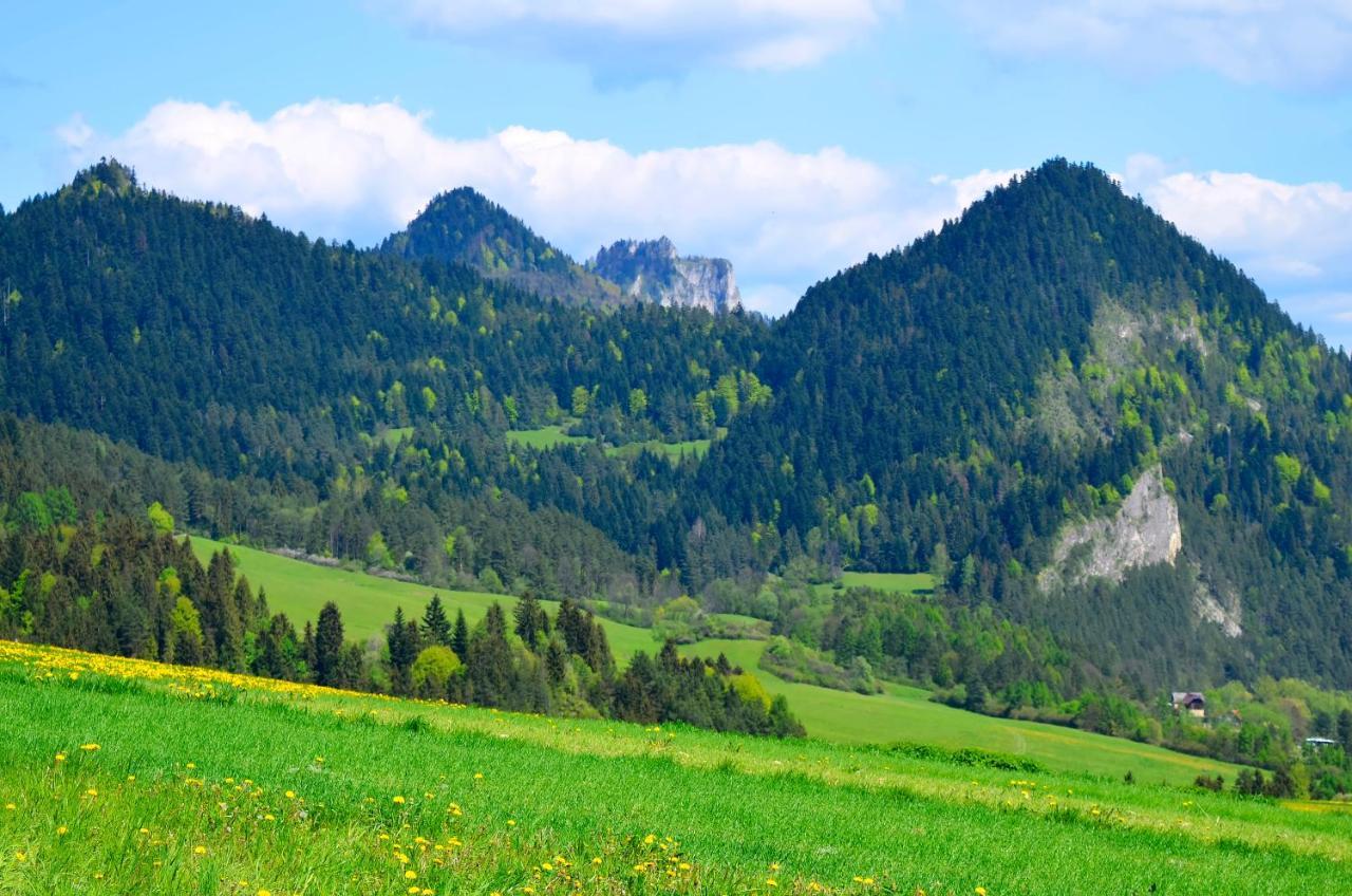 Agroturystyka Chmiel Sromowce Wyzne Exterior foto
